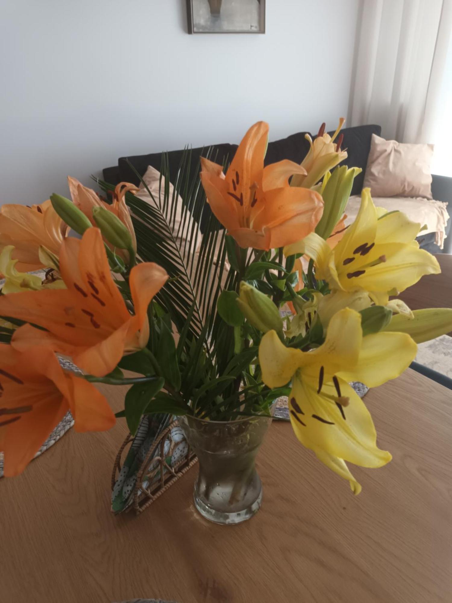 Apartament Lilla 2 Jelenia Gora Dış mekan fotoğraf